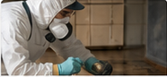 Cleaning professional sanitizing a home surface